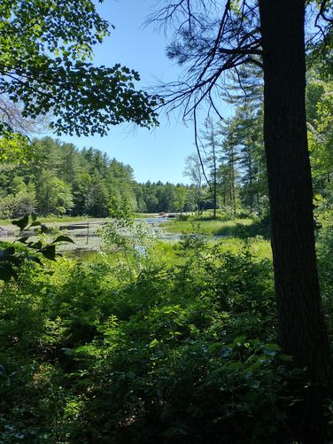 Pondview
