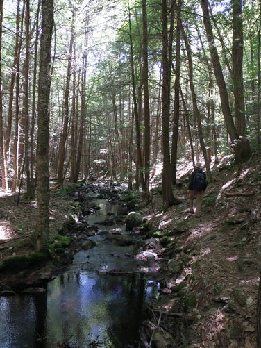 The stream now bathed in shadow bids us farewell