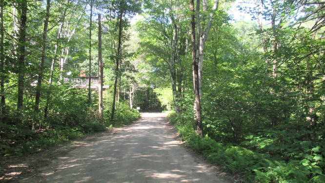 Access road to trails