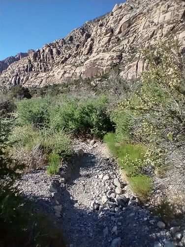 Trail substrate