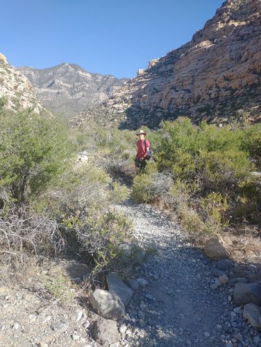 Trail substrate