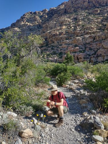 So many different plants blooming beside the trail