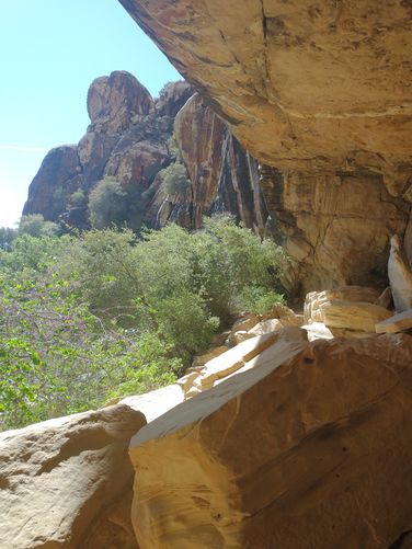 A shady spot to cool off and have a snack