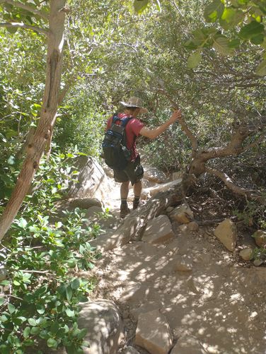 Heading back on Lost Creek Trail to Willow Spring Loop