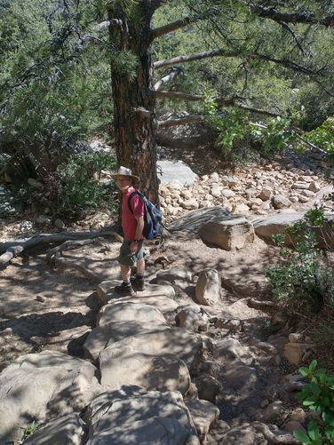Water nearby allows larger trees to survive