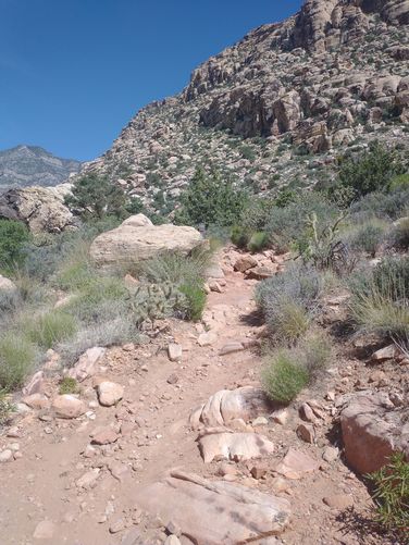 Trail substrate on Eastern Side of Willow Spring Loop