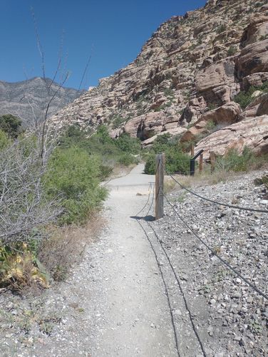 Trail and wire rope barrier