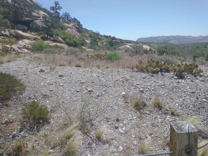 Ancient Agave Roasting Pit Site