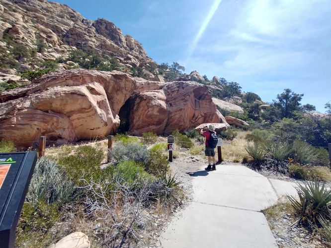 Willow Spring Loop Trail  - Willow Spring Loop Trail album