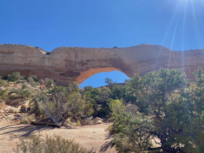 View of Wilson Arch