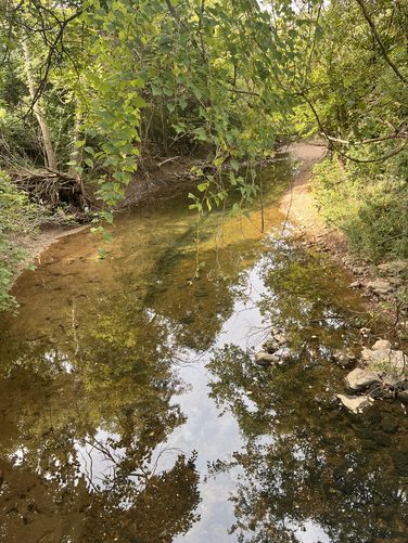 Picture 4 of Wilson creek