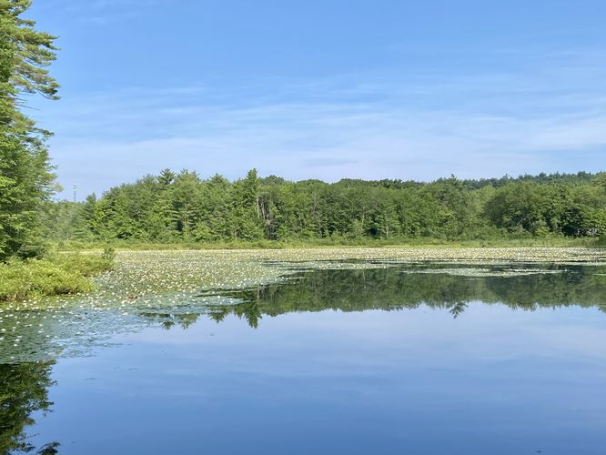 View of Richarson Pond