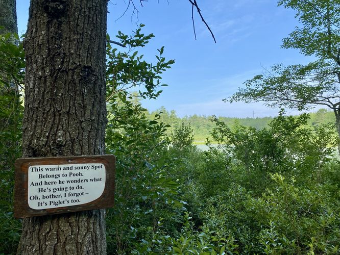 Picture 8 of Winnie the Pooh Trail