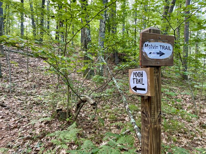 Turn to stay on Pooh Trail