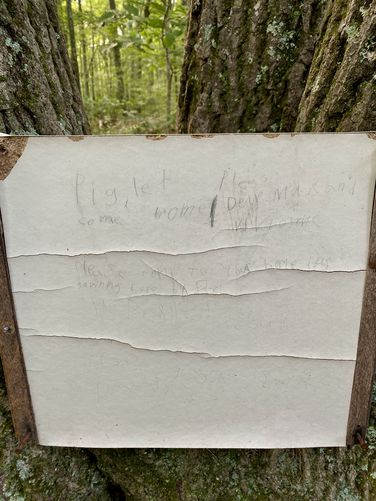 Picture 14 of Winnie the Pooh Trail