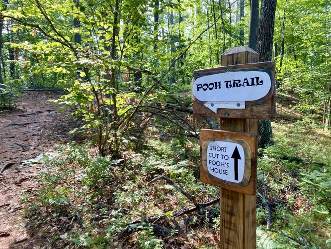 Left-hand turn to stay on Winnie the Pooh Trail