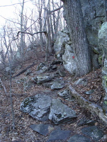Picture 20 of Wintergreen Hike 040409