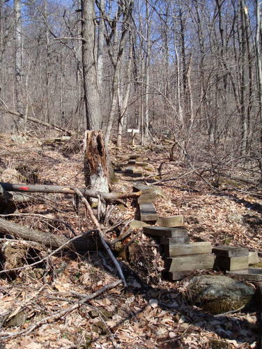 Picture 17 of Wintergreen Hike 040409