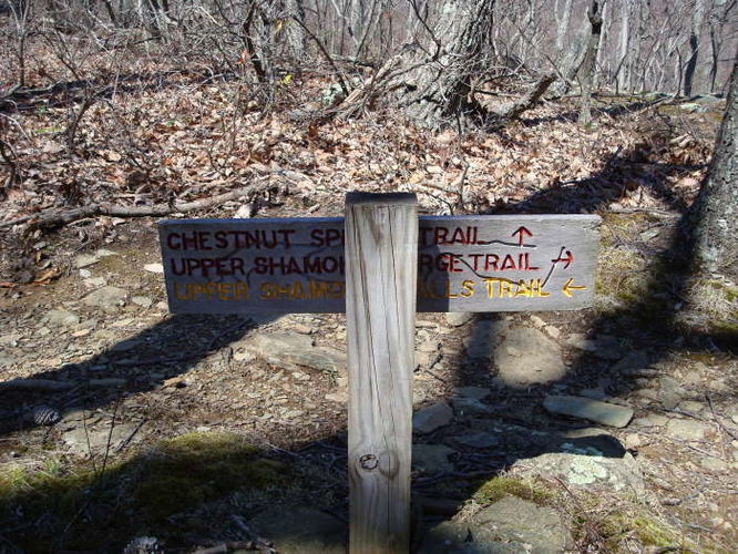 Picture 11 of Wintergreen Hike 040409