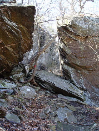 Picture 10 of Wintergreen Hike 040409