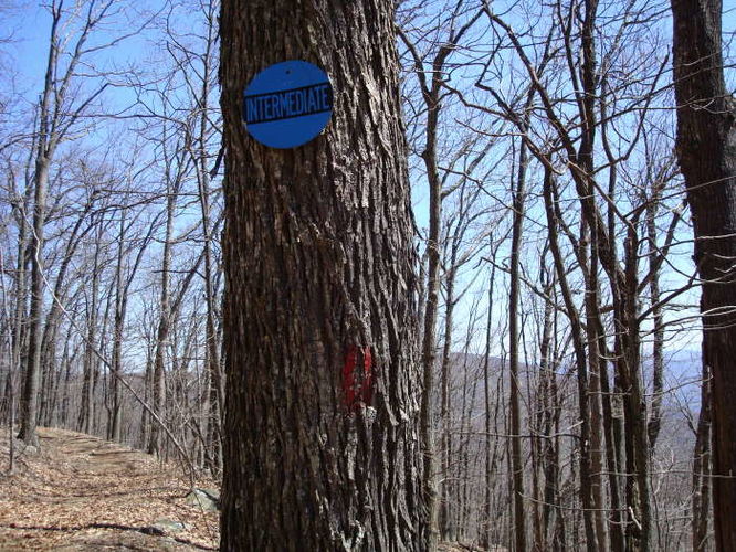 Picture 6 of Wintergreen Hike 040409
