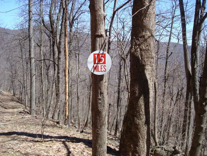 Picture 5 of Wintergreen Hike 040409