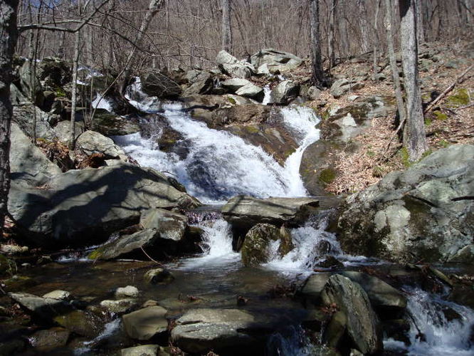 Picture 4 of Wintergreen Hike 040409