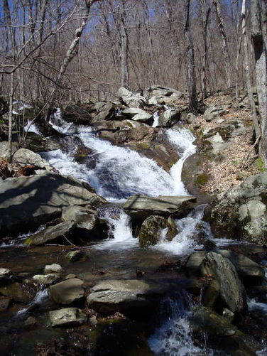 Picture 3 of Wintergreen Hike 040409