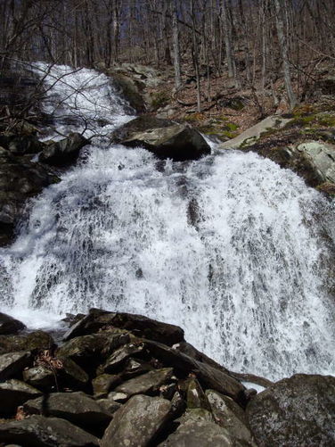 Picture 2 of Wintergreen Hike 040409