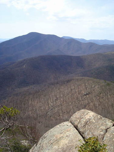 Picture 25 of Wintergreen Hike 040409