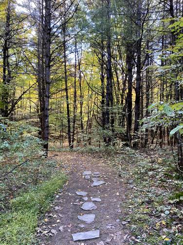 Hiking the Green Trail (Wolf Creek Falls Preserve)