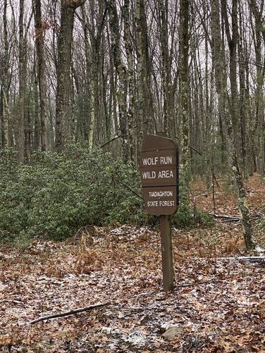Wolf Run Wild Area sign - not near trailhead!