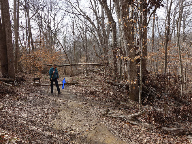 Picture 3 of Wolf Run Shoals Hike 020616