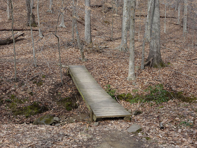 Picture 5 of Wolf Run Shoals Hike 020616