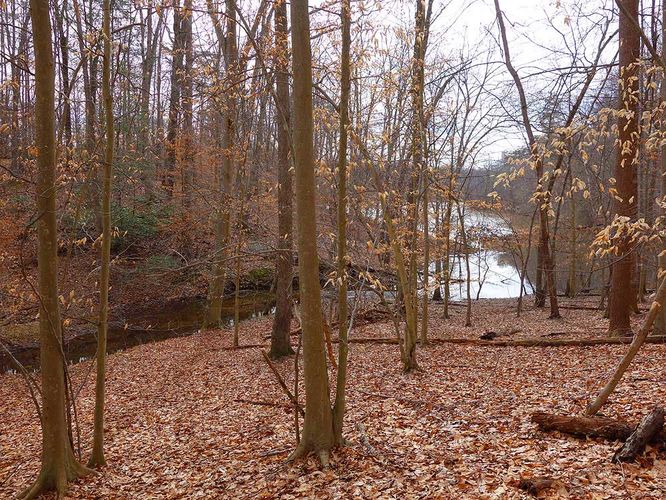 Picture 6 of Wolf Run Shoals Hike 020616