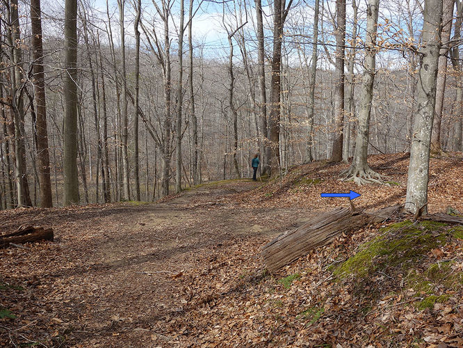 Picture 7 of Wolf Run Shoals Hike 020616