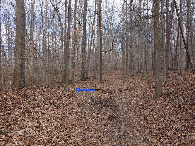 Picture 8 of Wolf Run Shoals Hike 020616