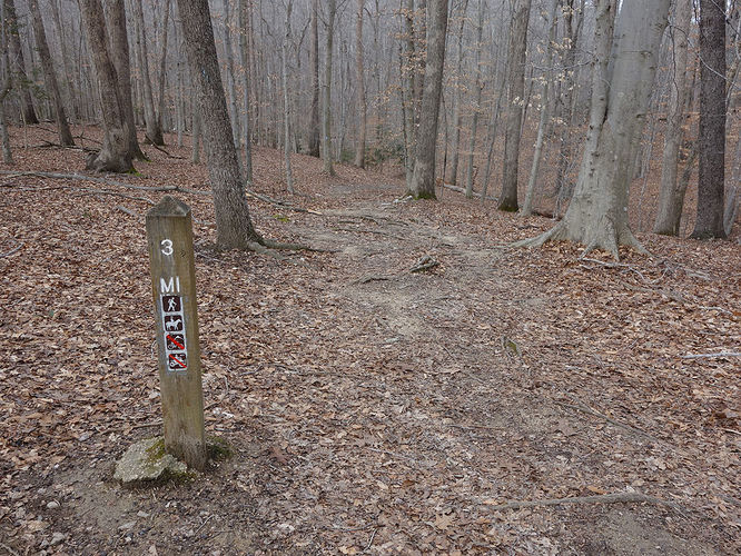Picture 9 of Wolf Run Shoals Hike 020616