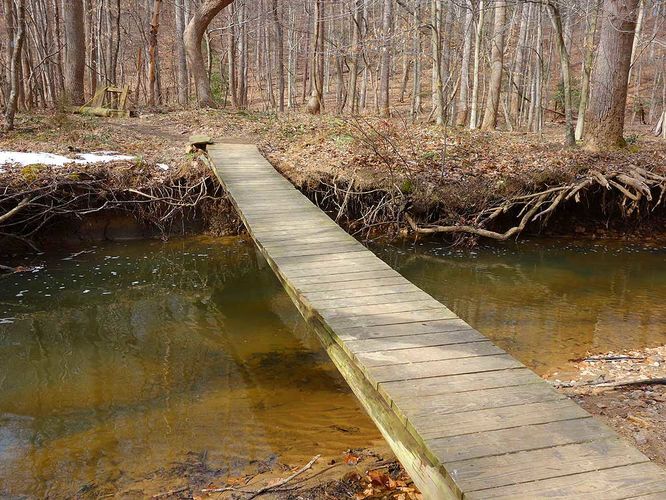 Picture 10 of Wolf Run Shoals Hike 020616