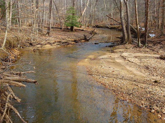 Default image for Wolf Run Shoals Hike, a 4.0-mile trail in Clifton, VA (US)