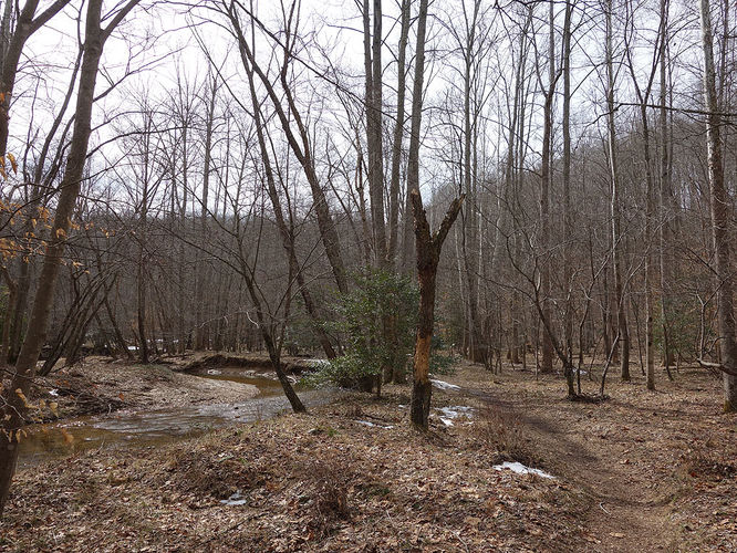Picture 11 of Wolf Run Shoals Hike 020616