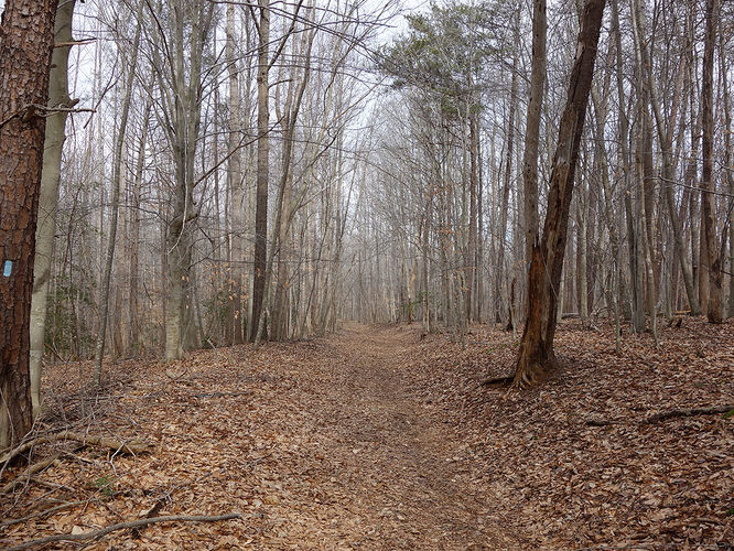Picture 12 of Wolf Run Shoals Hike 020616