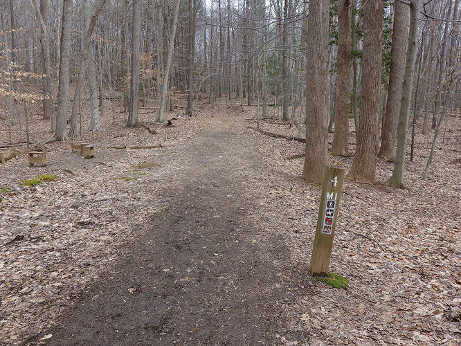 Picture 13 of Wolf Run Shoals Hike 020616