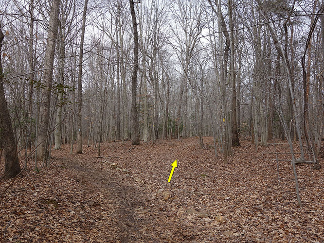 Picture 14 of Wolf Run Shoals Hike 020616