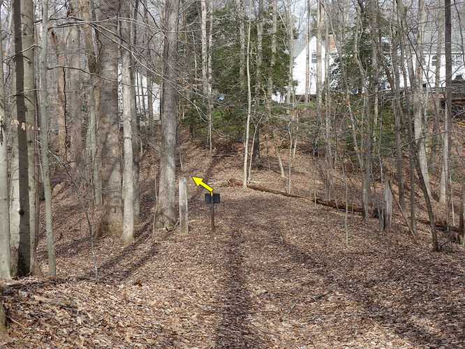 Picture 15 of Wolf Run Shoals Hike 020616