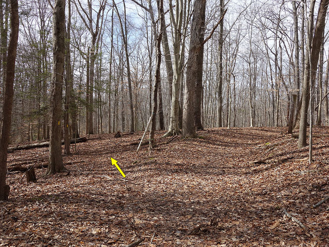 Picture 16 of Wolf Run Shoals Hike 020616