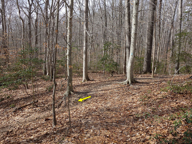 Picture 17 of Wolf Run Shoals Hike 020616