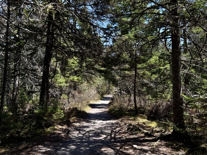Picture 3 of Wonderland Trail
