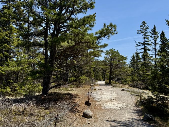 Picture 4 of Wonderland Trail