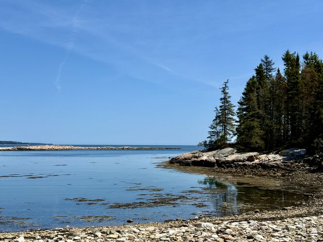 Default image for Wonderland Trail, a 1.5-mile trail in Southwest Harbor, ME (US)